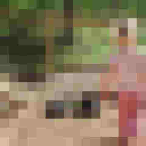 Stimmungsvolle Szene am Hinterrohrgut mit Natur, See und alpinem Ambiente