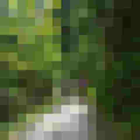 Zwei Wanderer auf Waldweg im Sonnenschein