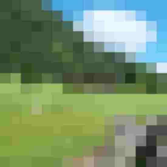 Hinterrohrgut: Bauernhof und Chalets auf grüner Wiese vor bewaldetem Berg