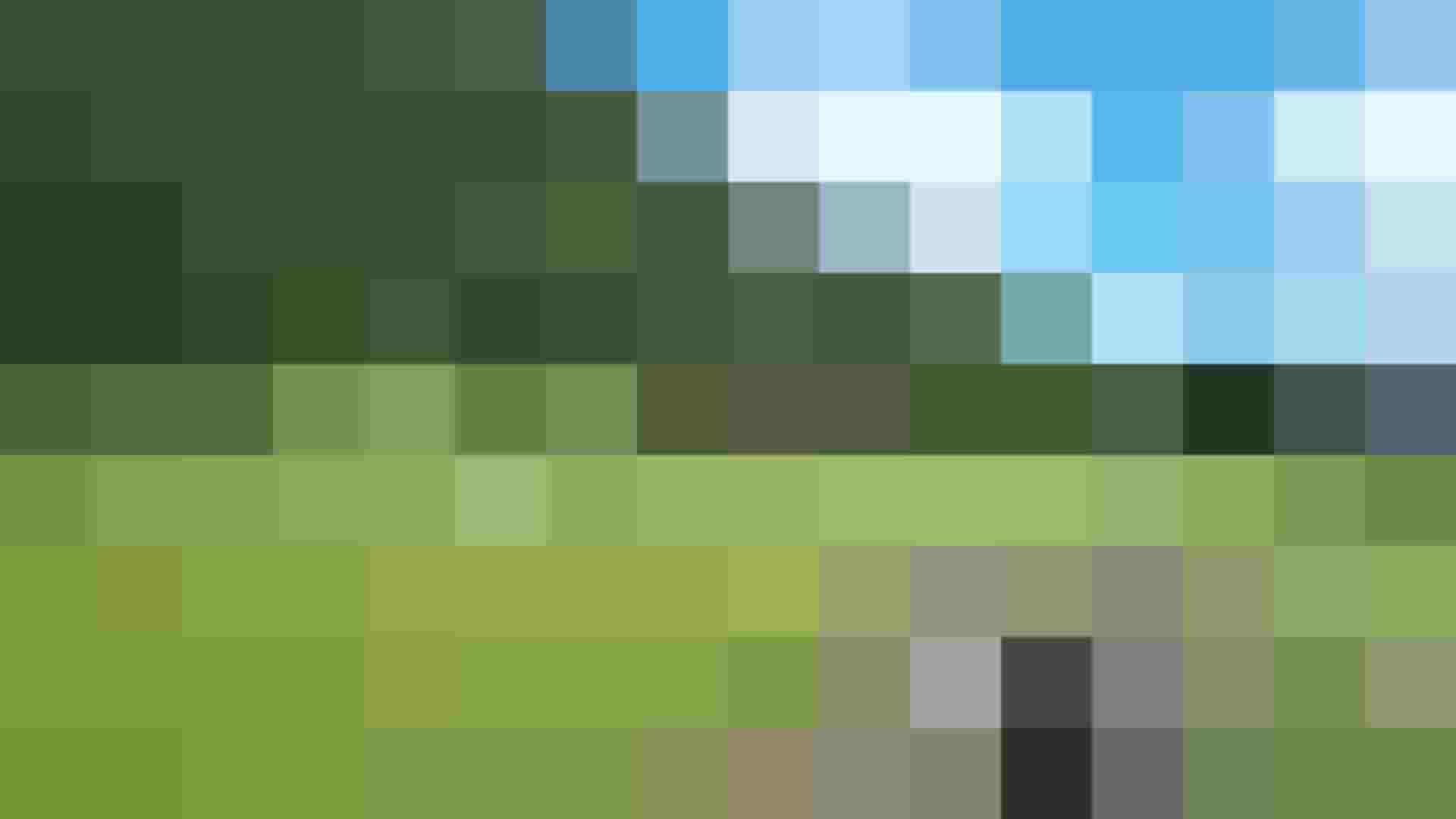 Hinterrohrgut: Bauernhof und Chalets auf grüner Wiese vor bewaldetem Berg